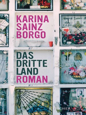 cover image of Das dritte Land